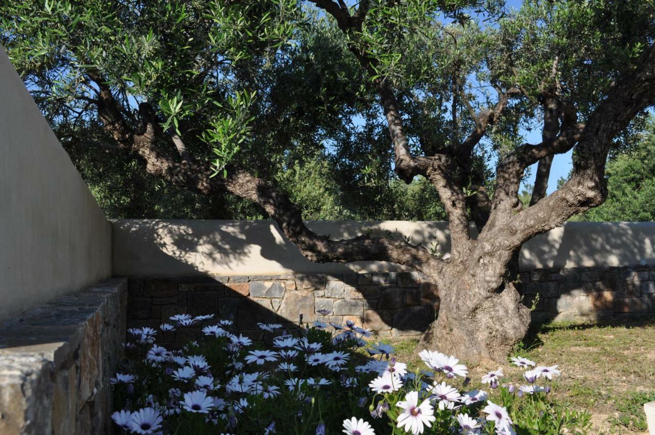 Nefeli Villas Hersonissos  Eksteriør billede
